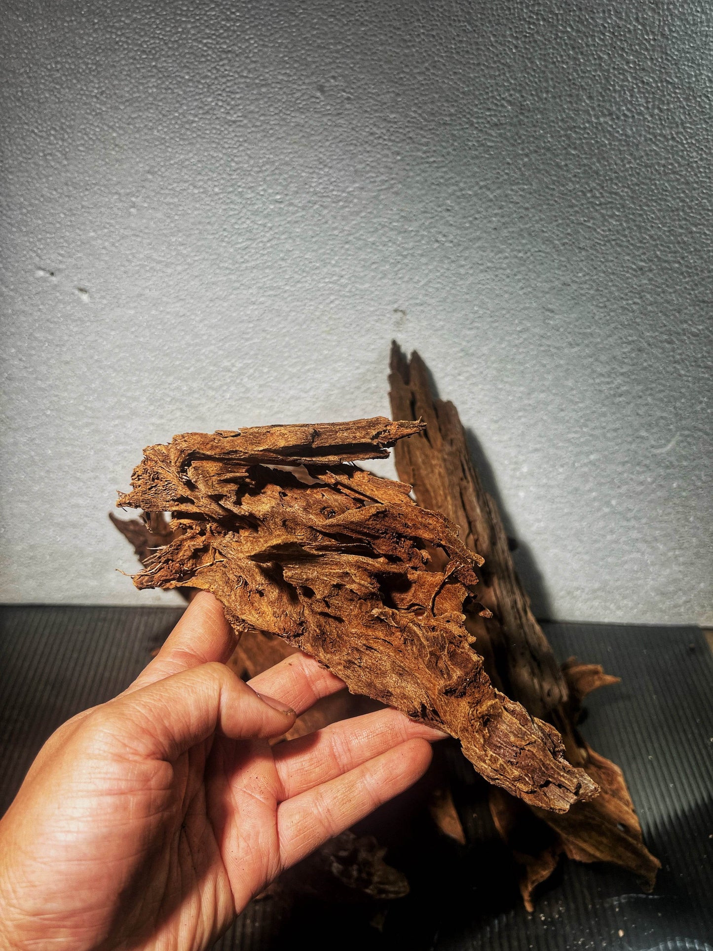 Malaysian drift wood size Small