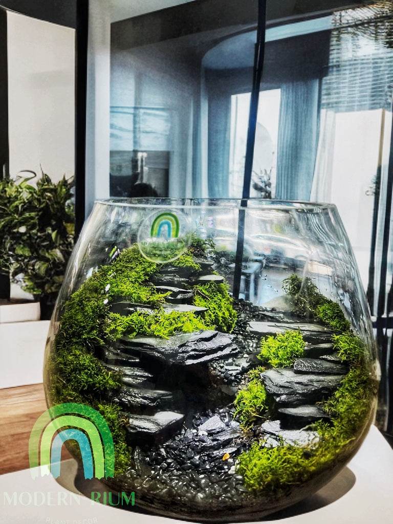 Forest Verge – Vertical Woodland Terrarium