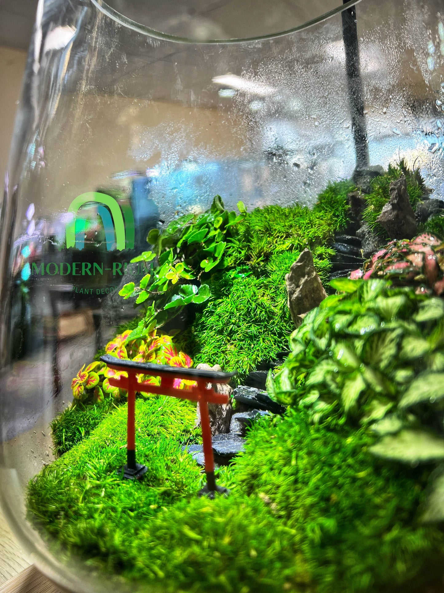 Torii gate mountain terrarium- EcoCourier series - ready made terrarium Australia wide