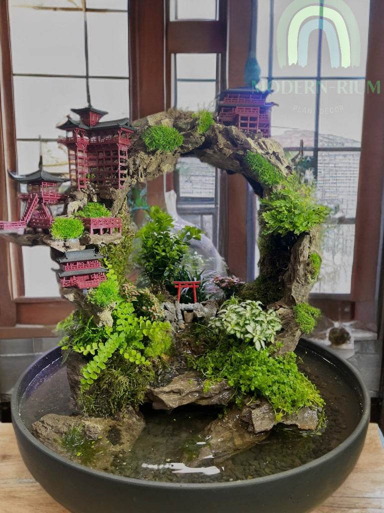 Temple Gate – Japanese Arch Terrarium with Mountain Loop & Water Base