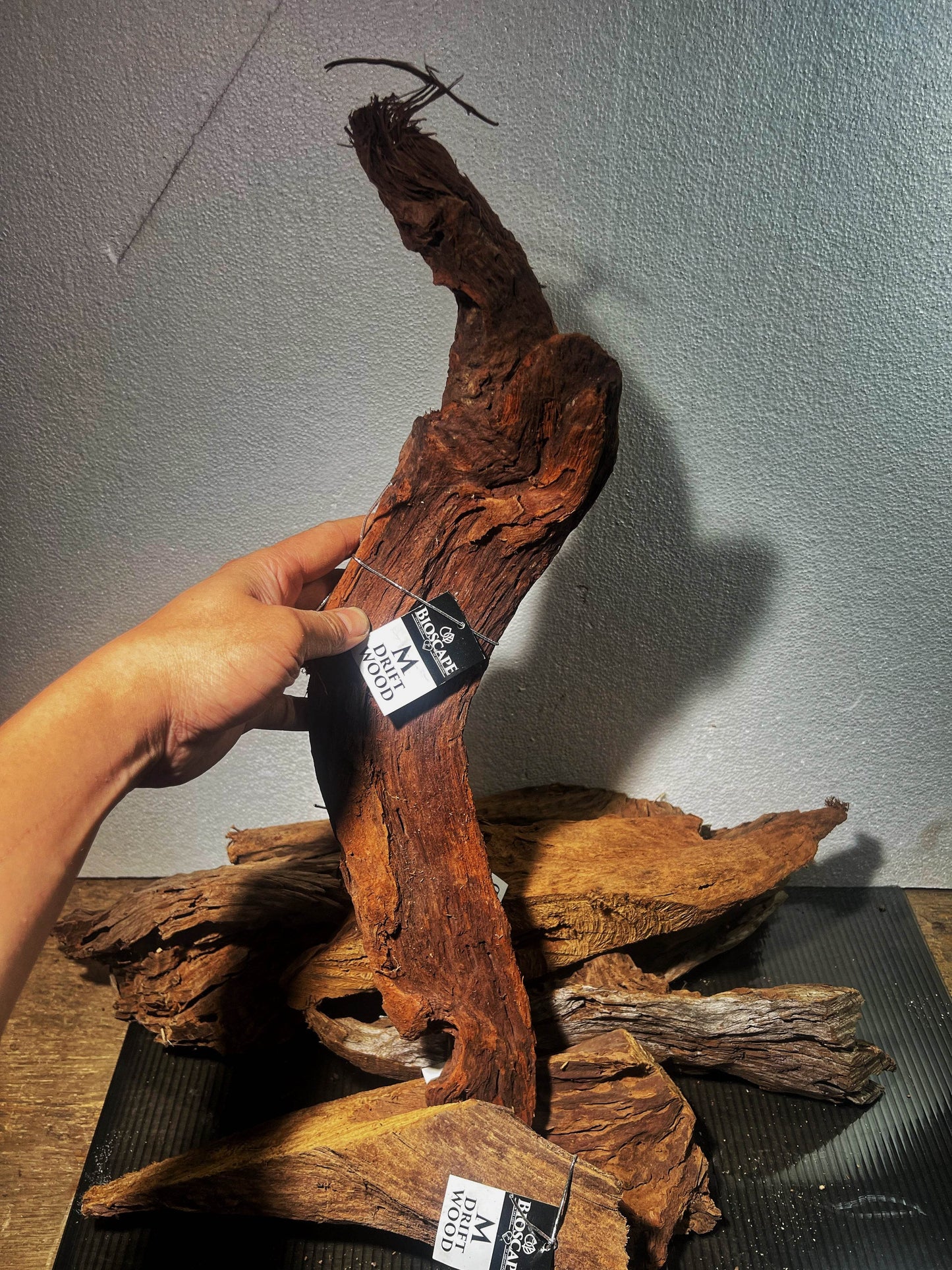 Malaysian drift wood size M 25-30cm