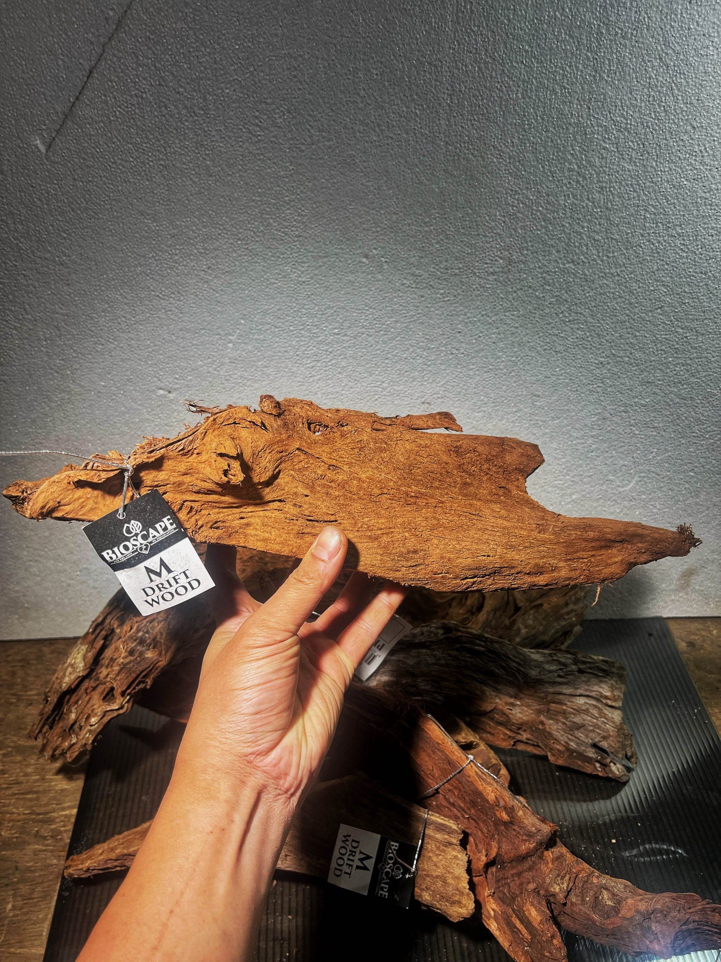 Malaysian drift wood size M 25-30cm