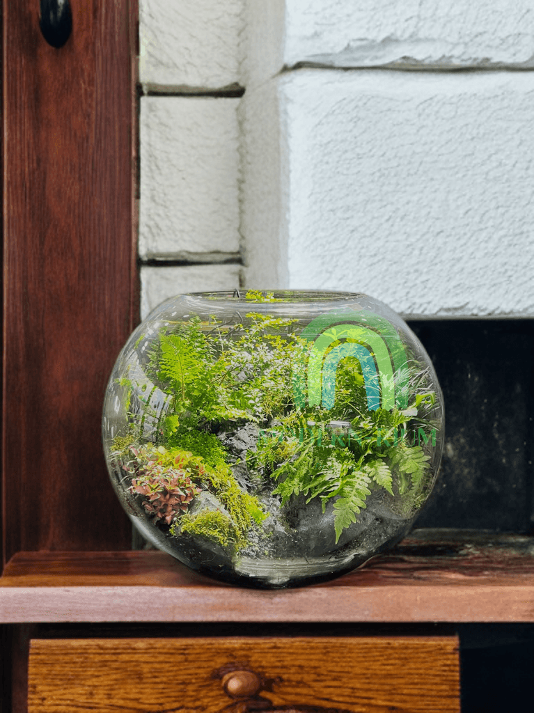 Emerald Hollow – Deep Forest Terrarium in Glass Orb with running stream