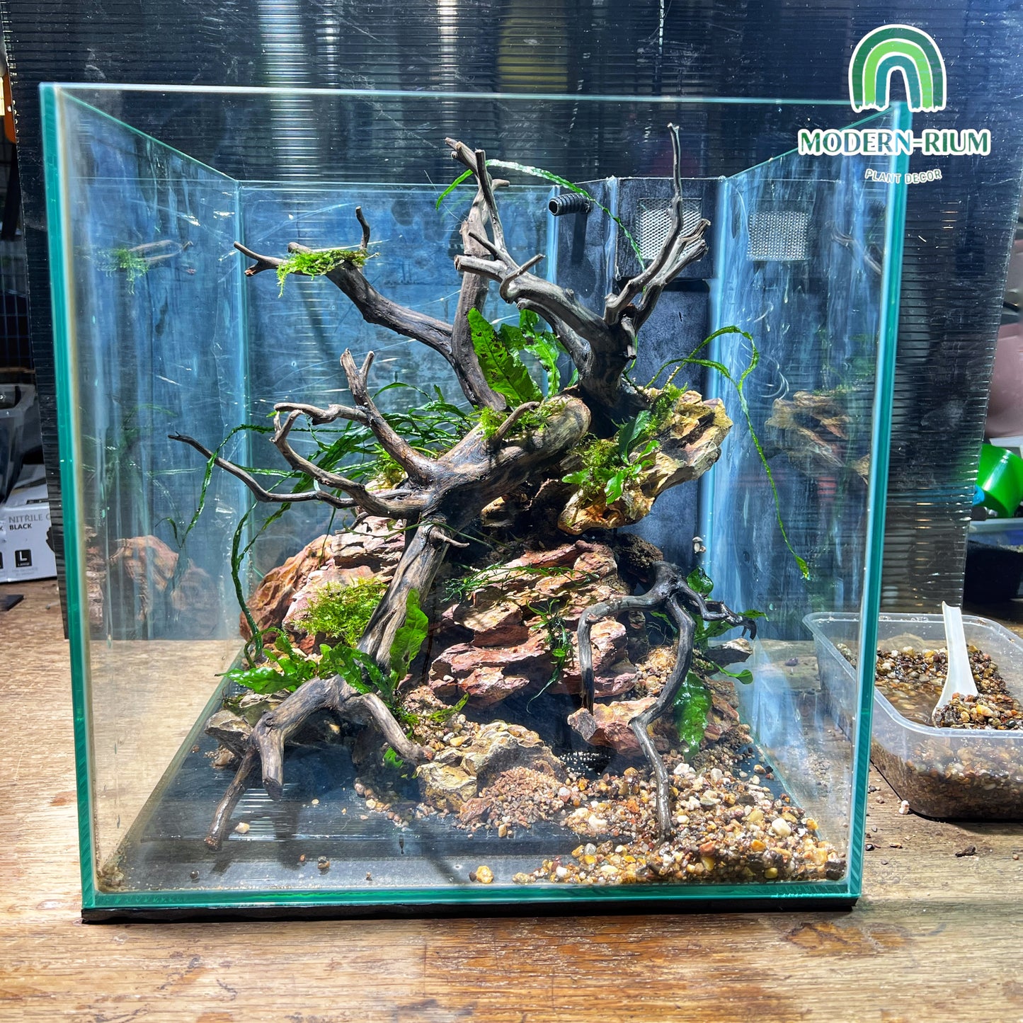 Cliffside - Aquarium Module - Diorama Style