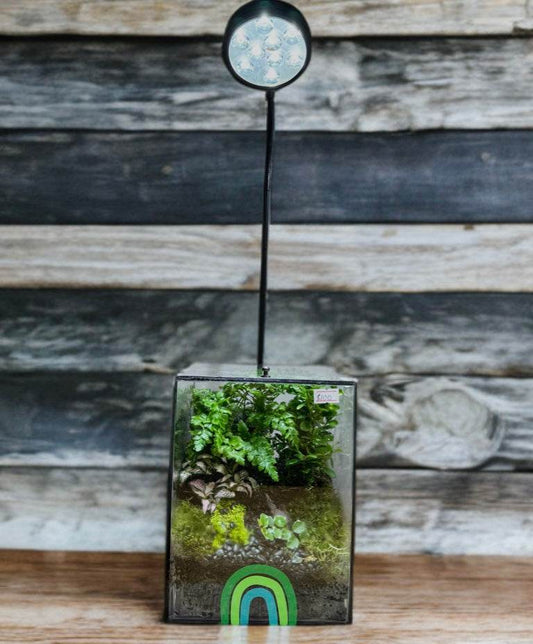 Echo of Eden – Vertical Terrarium in Forest Glass
