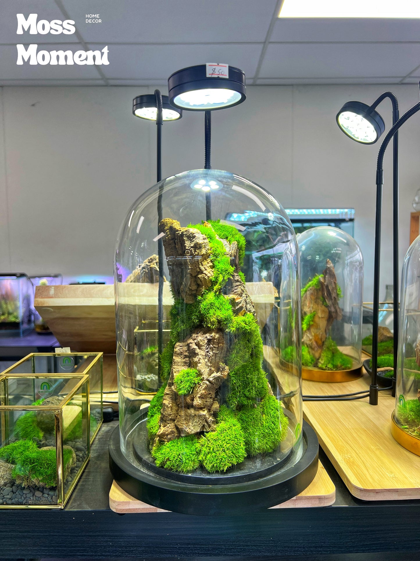 Moss Art - Zero maintenance dome mossy mountain