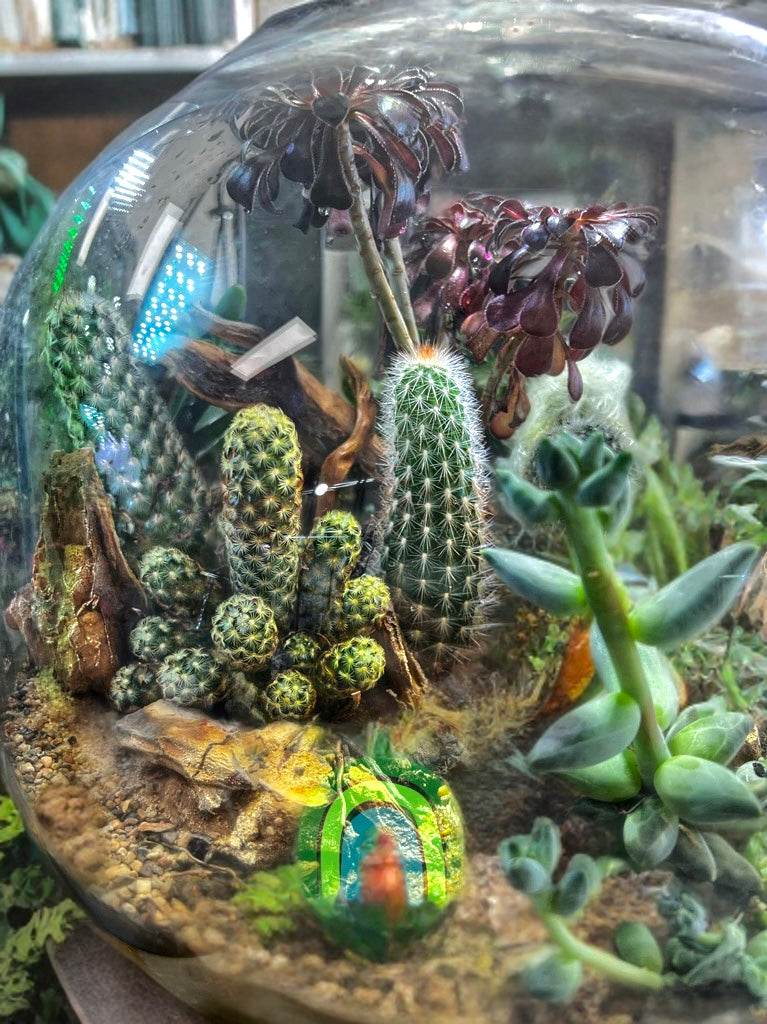 Dune Haven – Desertscape Terrarium in Glass Orb