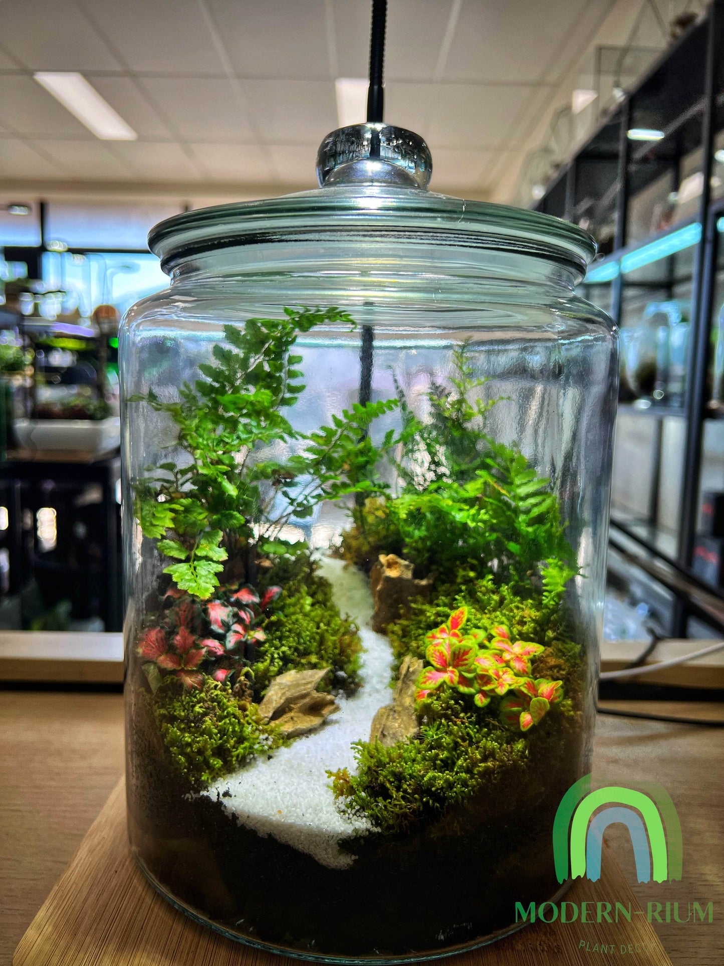 DIY Terrarium Kit Loli Jar Size 20*29