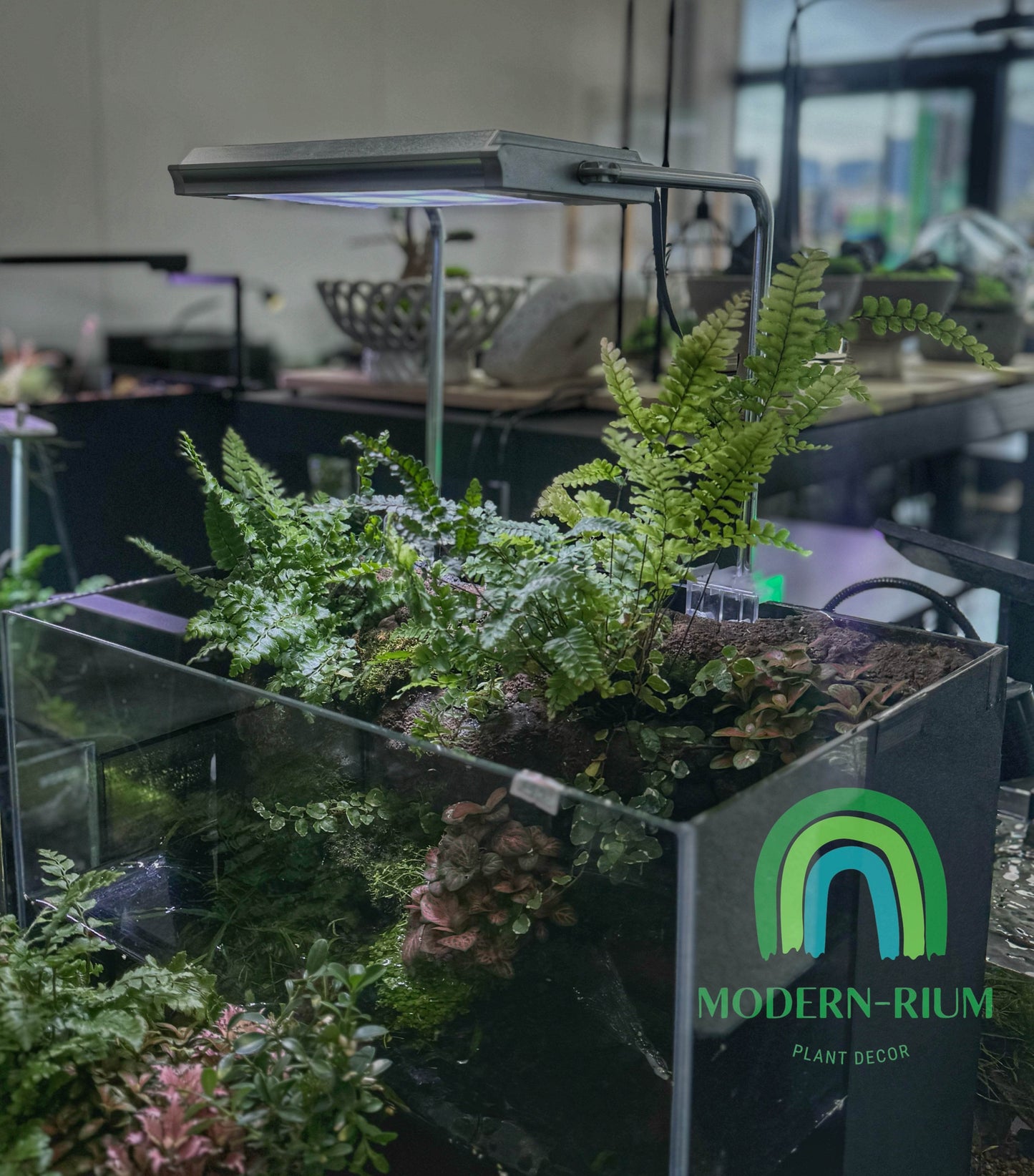 Terrarium / Aquarium light for square tank 18W 6500K