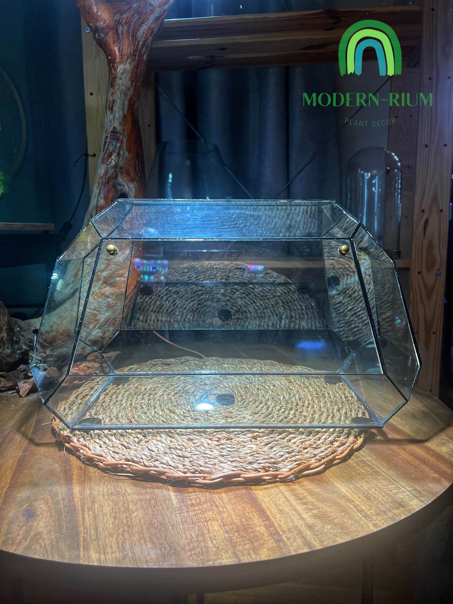 DIY Terrarium Kit 38x25 Geometric Terrarium “The Bus”