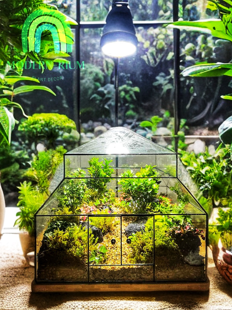 DIY Terrarium Kit 30x30x30 cm Glass Pavilion