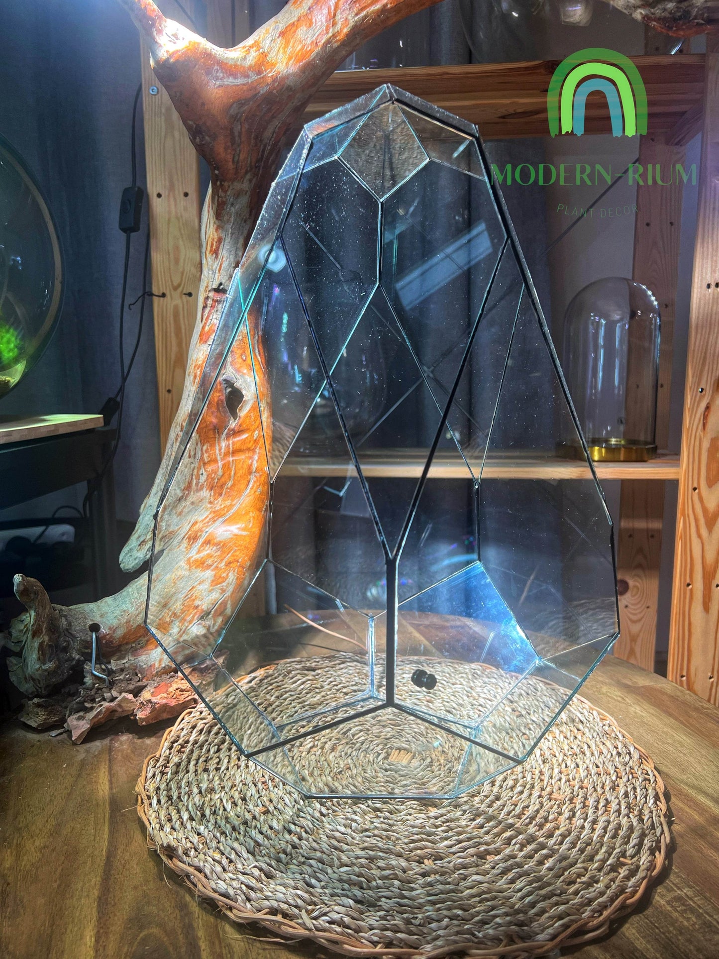 DIY Terrarium Kit 44x34cm Geometric Terrarium “Dinosaurs Egg”