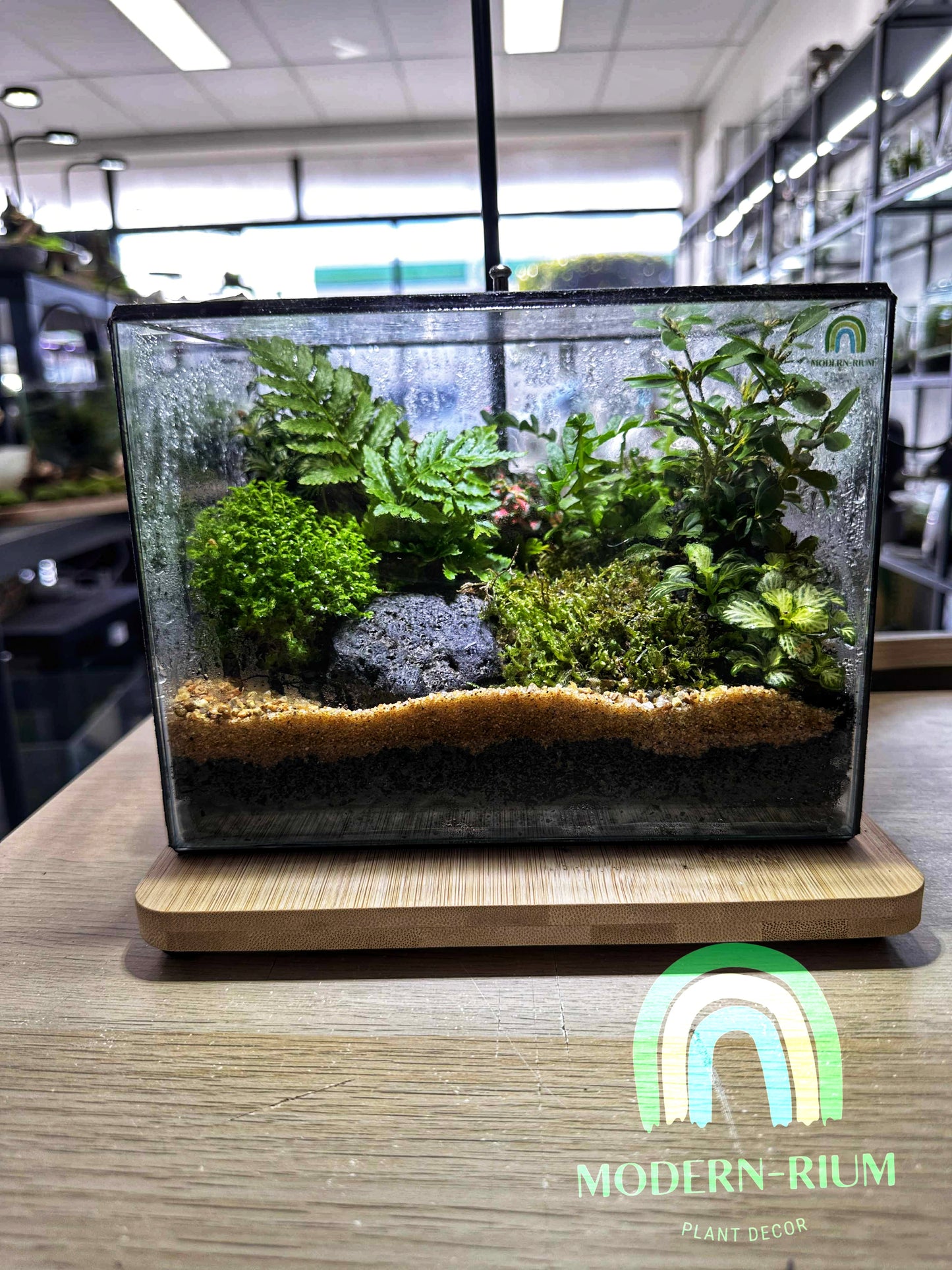 DIY Terrarium Kit 20x15x15cm