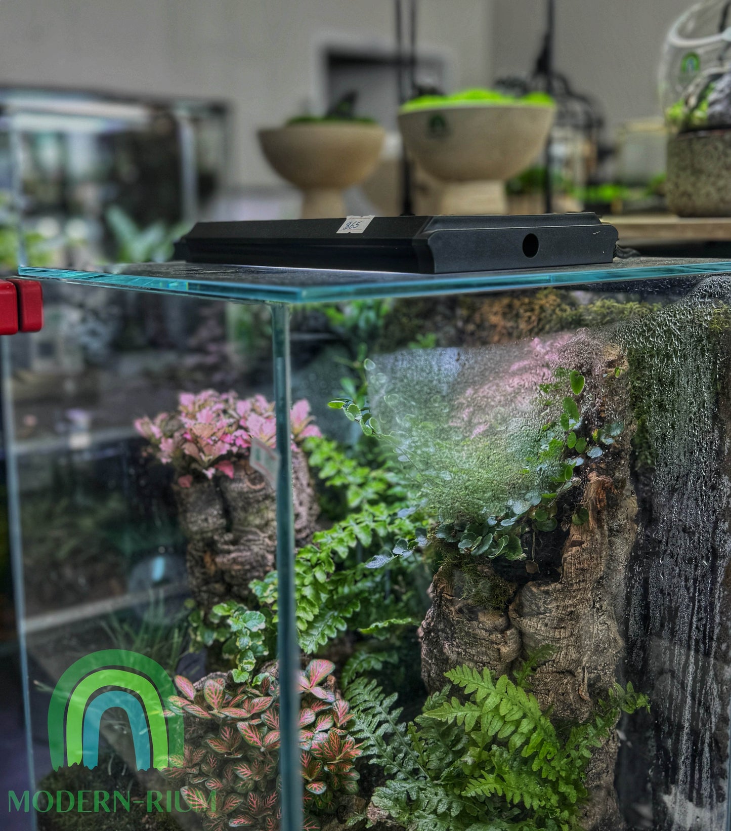 Terrarium / Aquarium light for square tank 18W 6500K