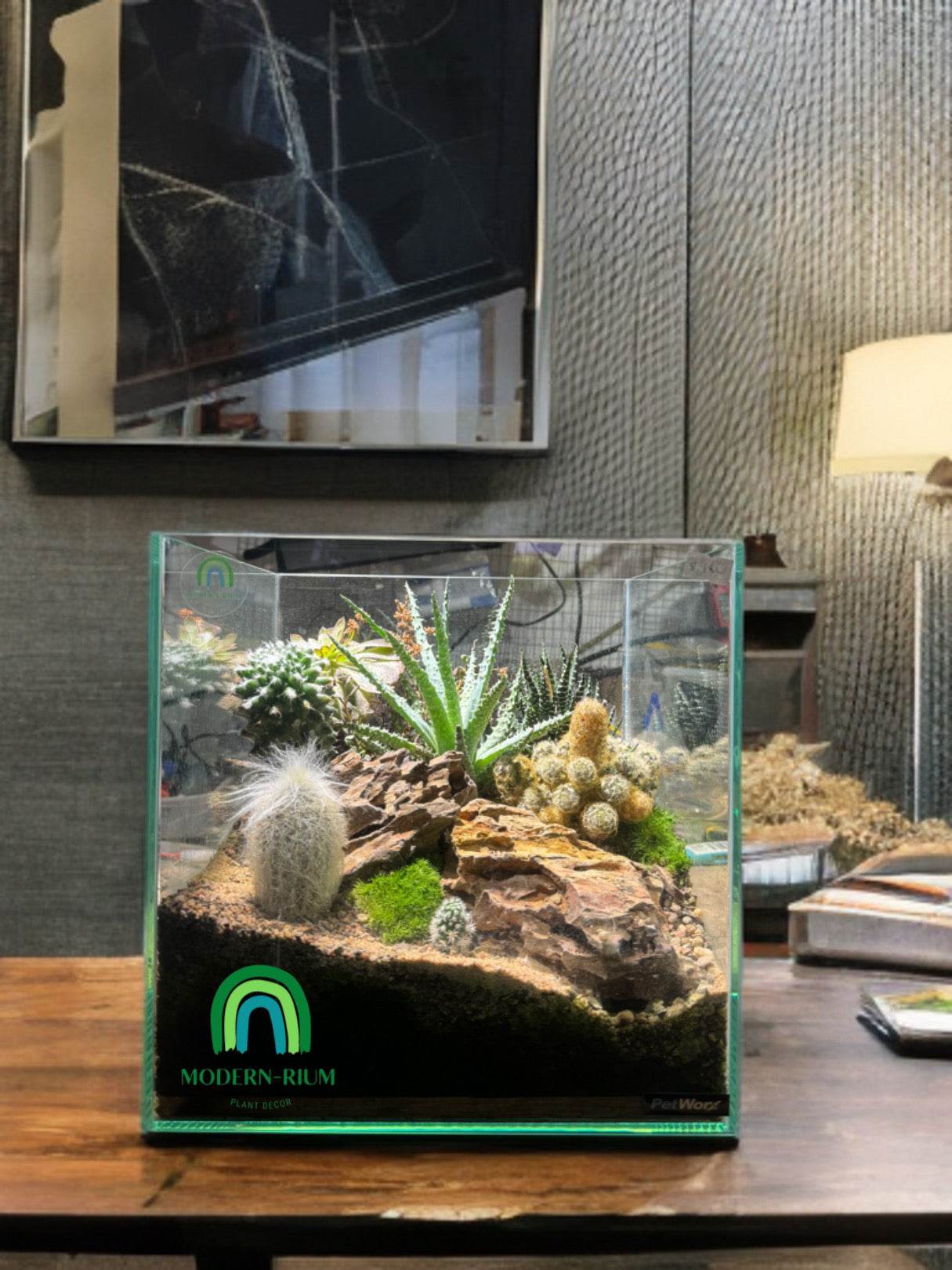 “Dessert Oasis” Terrarium