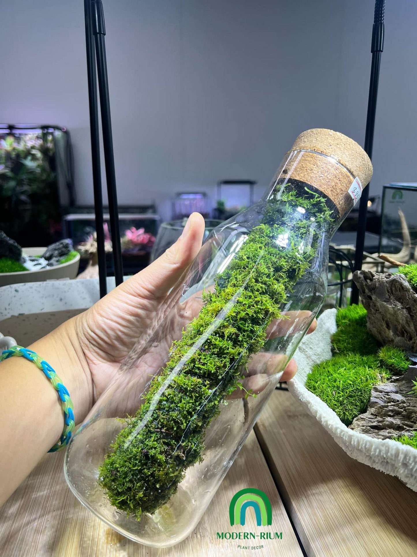“Moss Capsule” 28cm tall terrarium