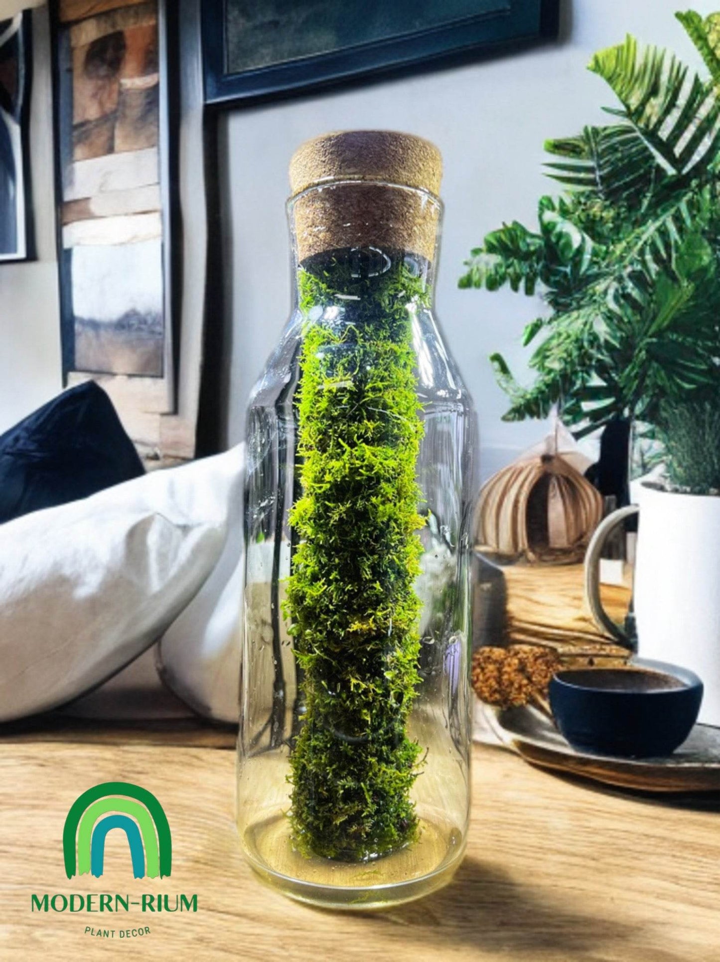 “Moss Capsule” 28cm tall terrarium