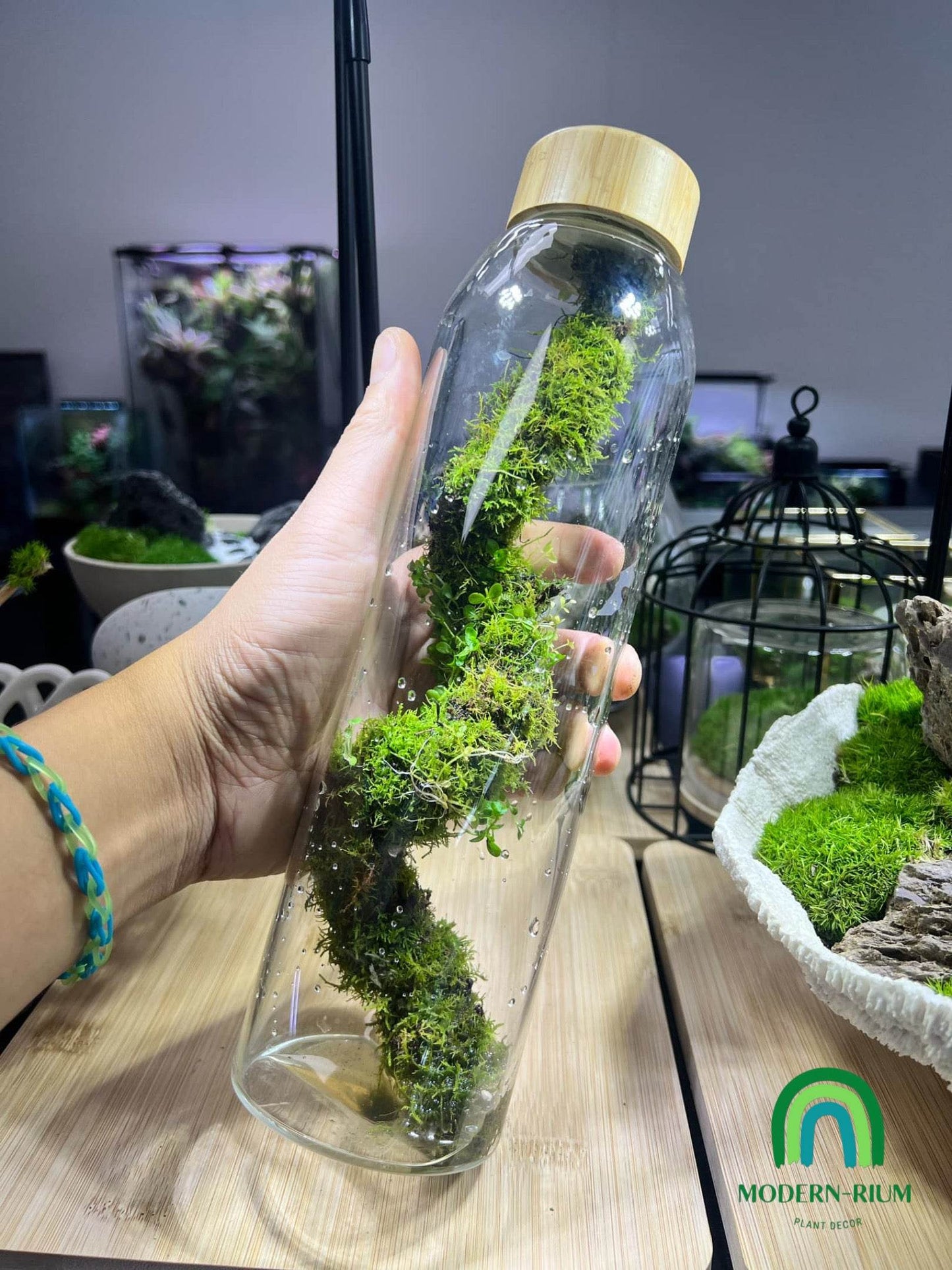 Verdant Helix EcoBottle