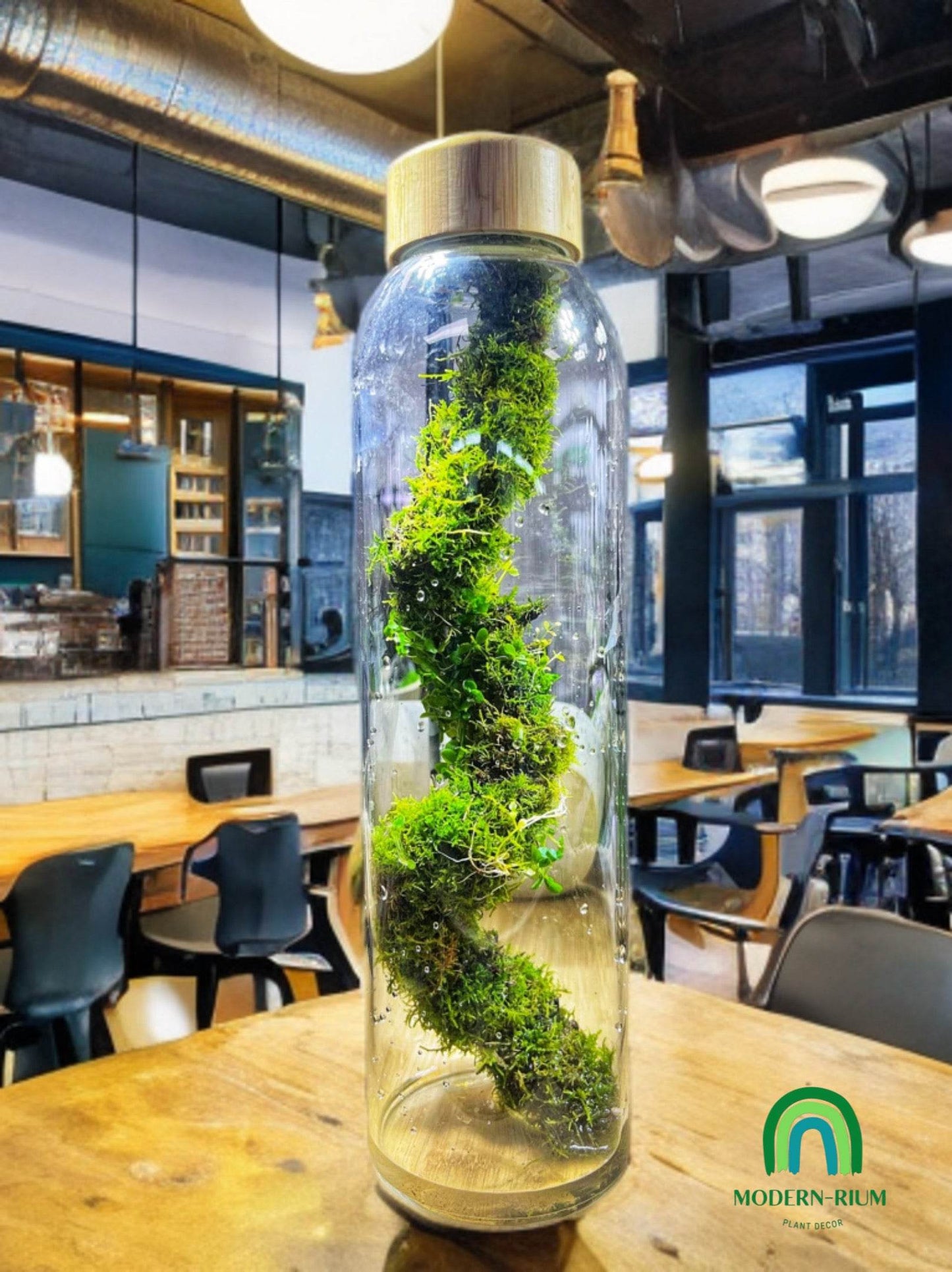 Verdant Helix EcoBottle