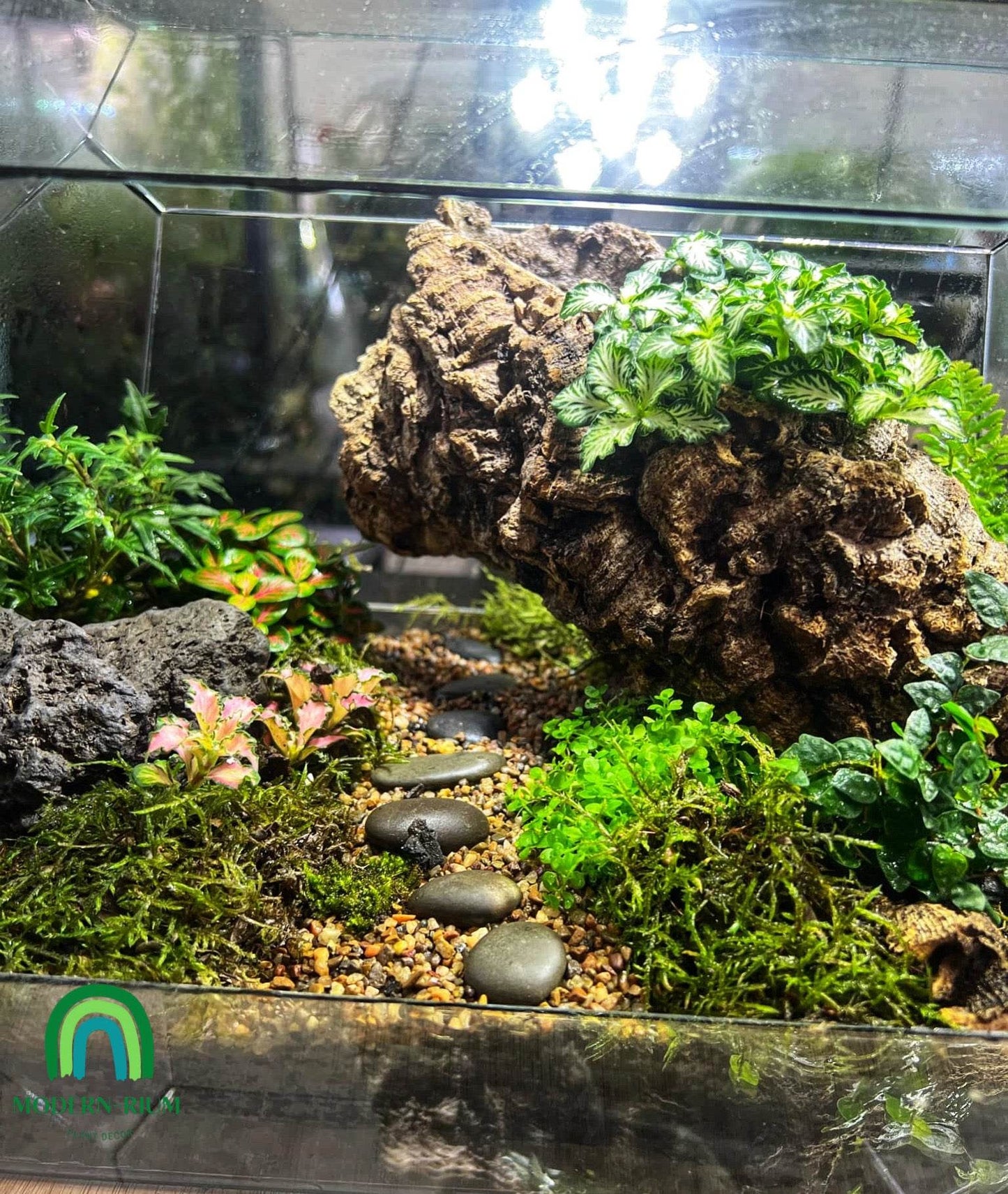 “Enchanted Forestscape” Terrarium