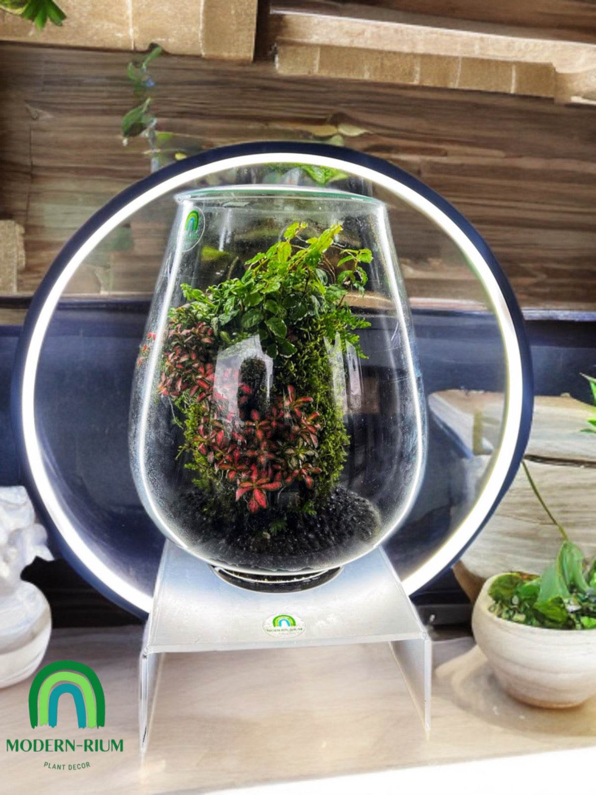 “Ecosphere” Terrarium