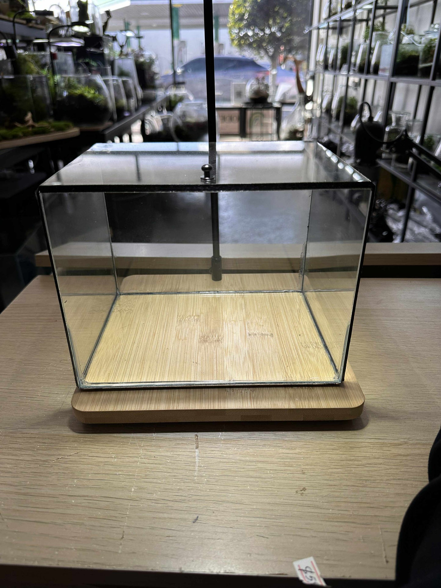DIY Terrarium Kit 20x15x15cm