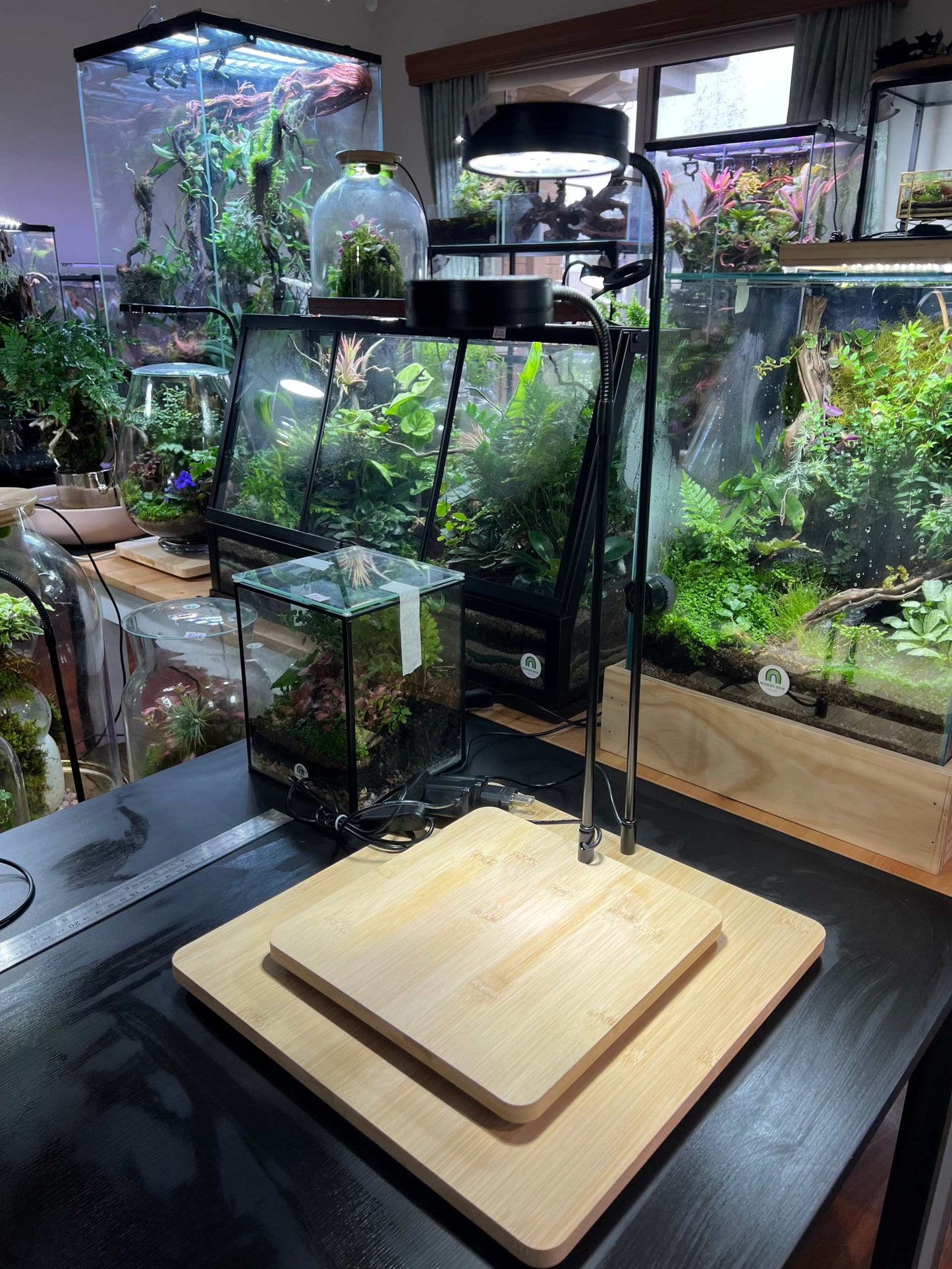 Terrarium LED Grow Light 38cm hight 5WMedium Wooden Base with Light for Terrarium LED Grow Light 38cm hight