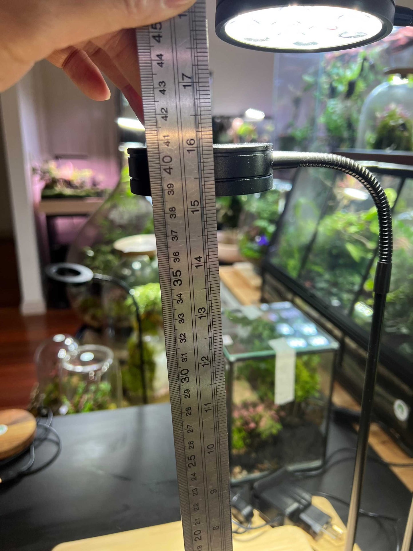 Terrarium LED Grow Light 38cm hight 5WMedium Wooden Base with Light for Terrarium LED Grow Light 38cm hight