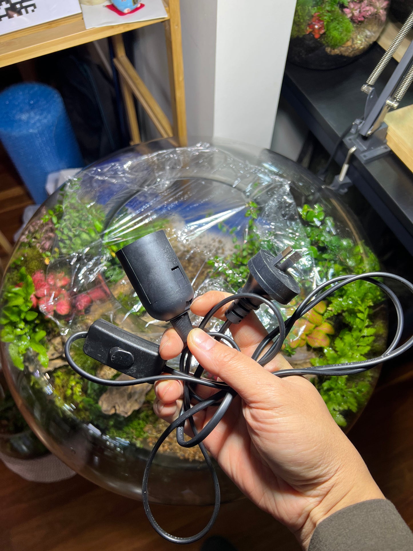 Natural light colour - Grow light Bulb 100W E27 (Screw Standard)