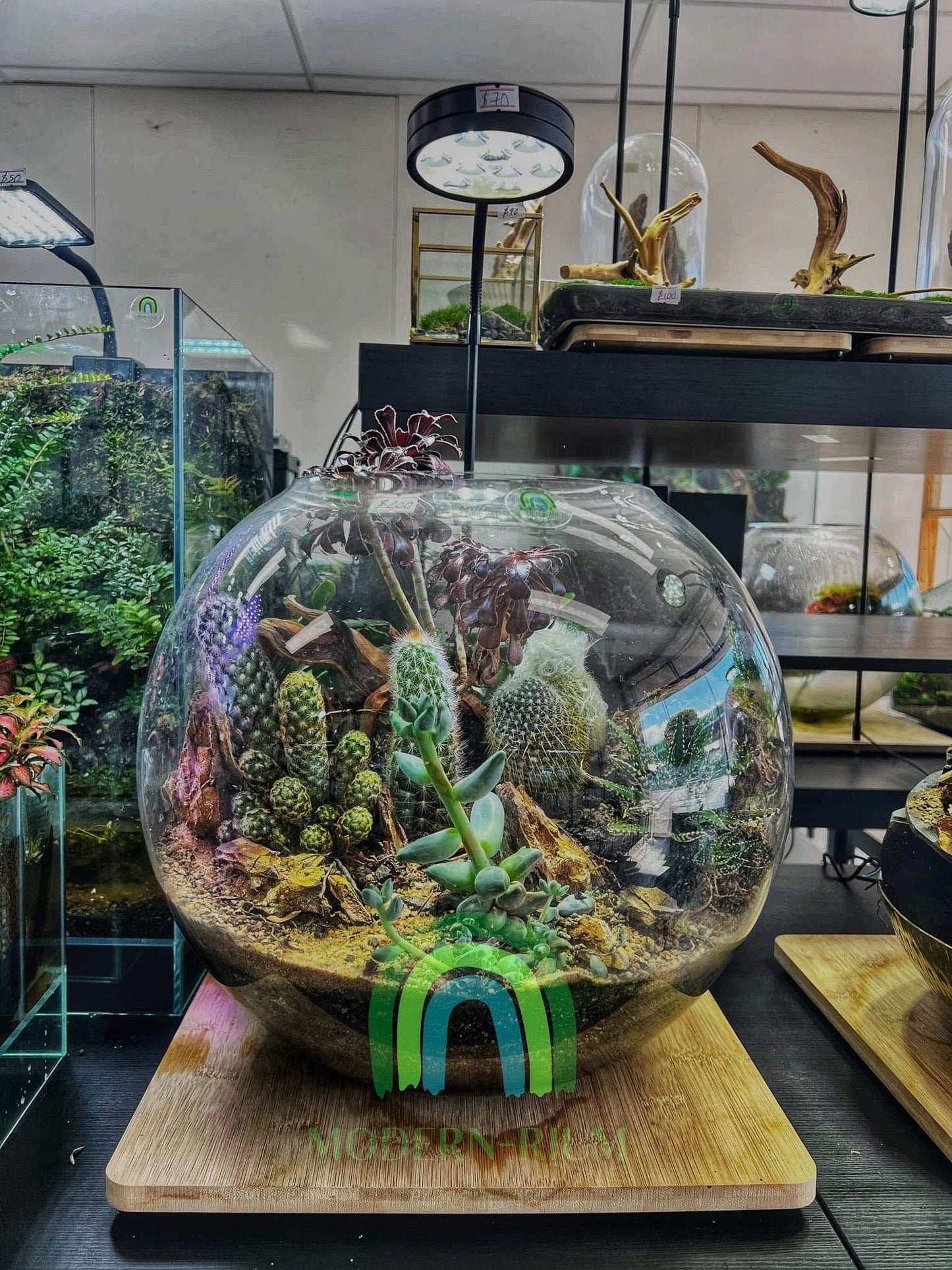 Dune Haven – Desertscape Terrarium in Glass Orb