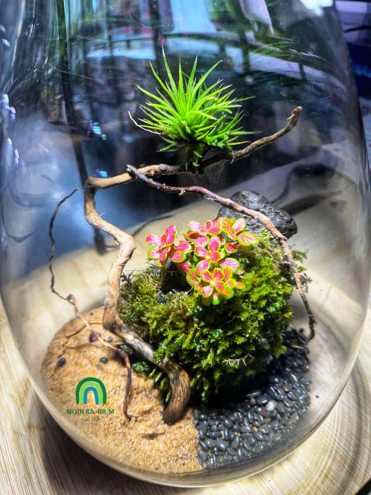 Oasis of Elevation – A Floating Garden Terrarium
