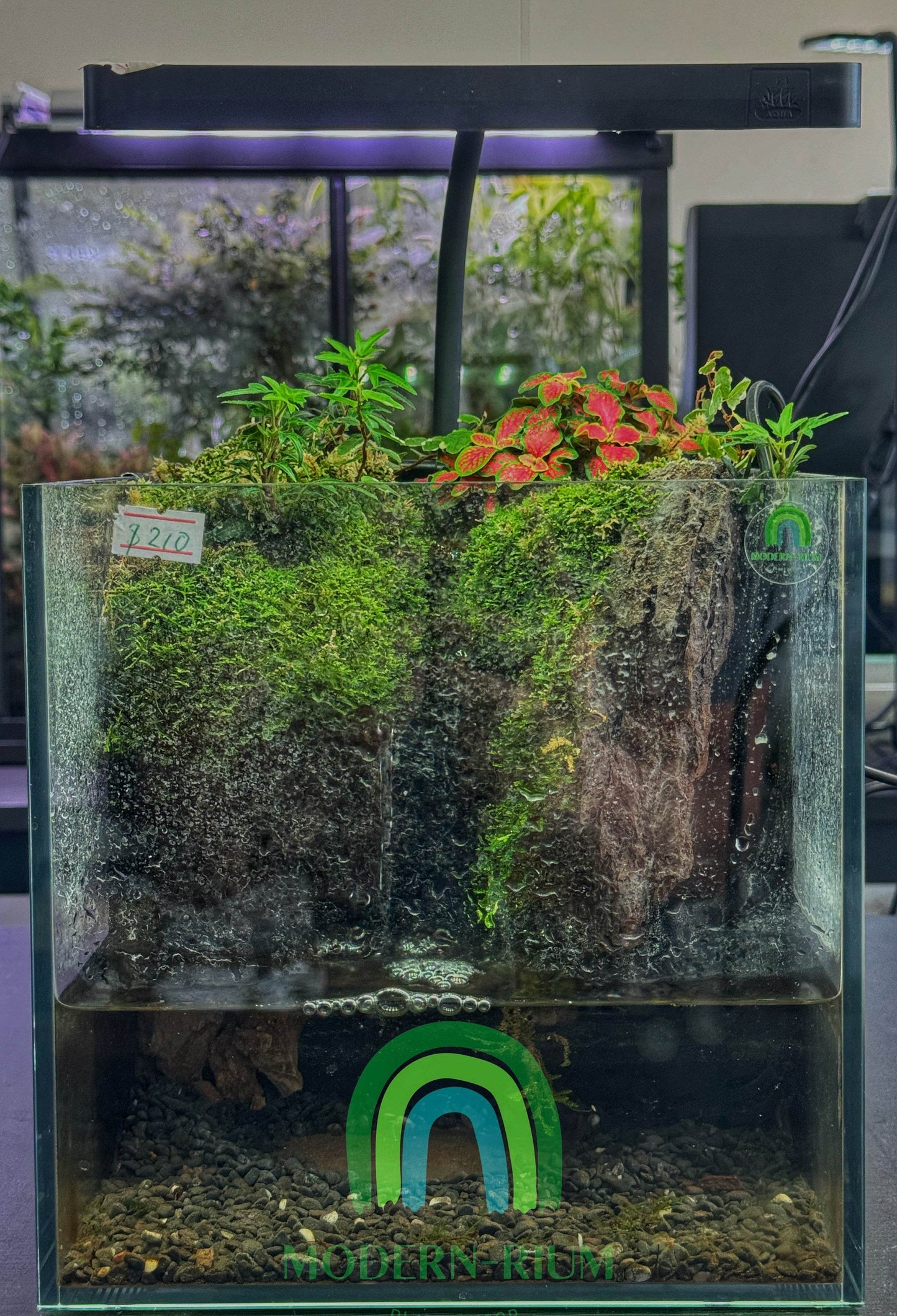 Terrarium light Weekaqua Aqua mini 9 pro Full Spectrum