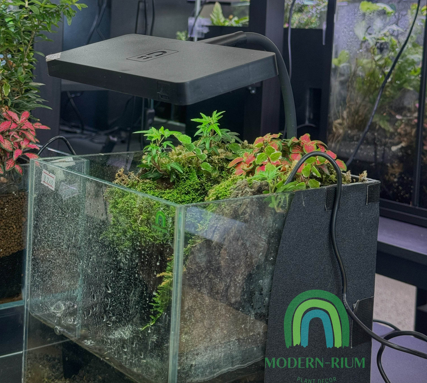 Terrarium light Weekaqua Aqua mini 9 pro Full Spectrum