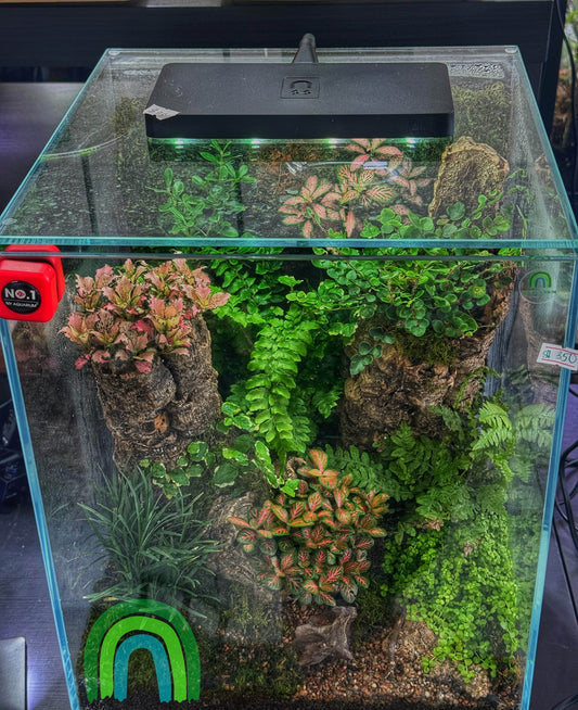 Terrarium light Weekaqua Aqua mini 9 pro Full Spectrum