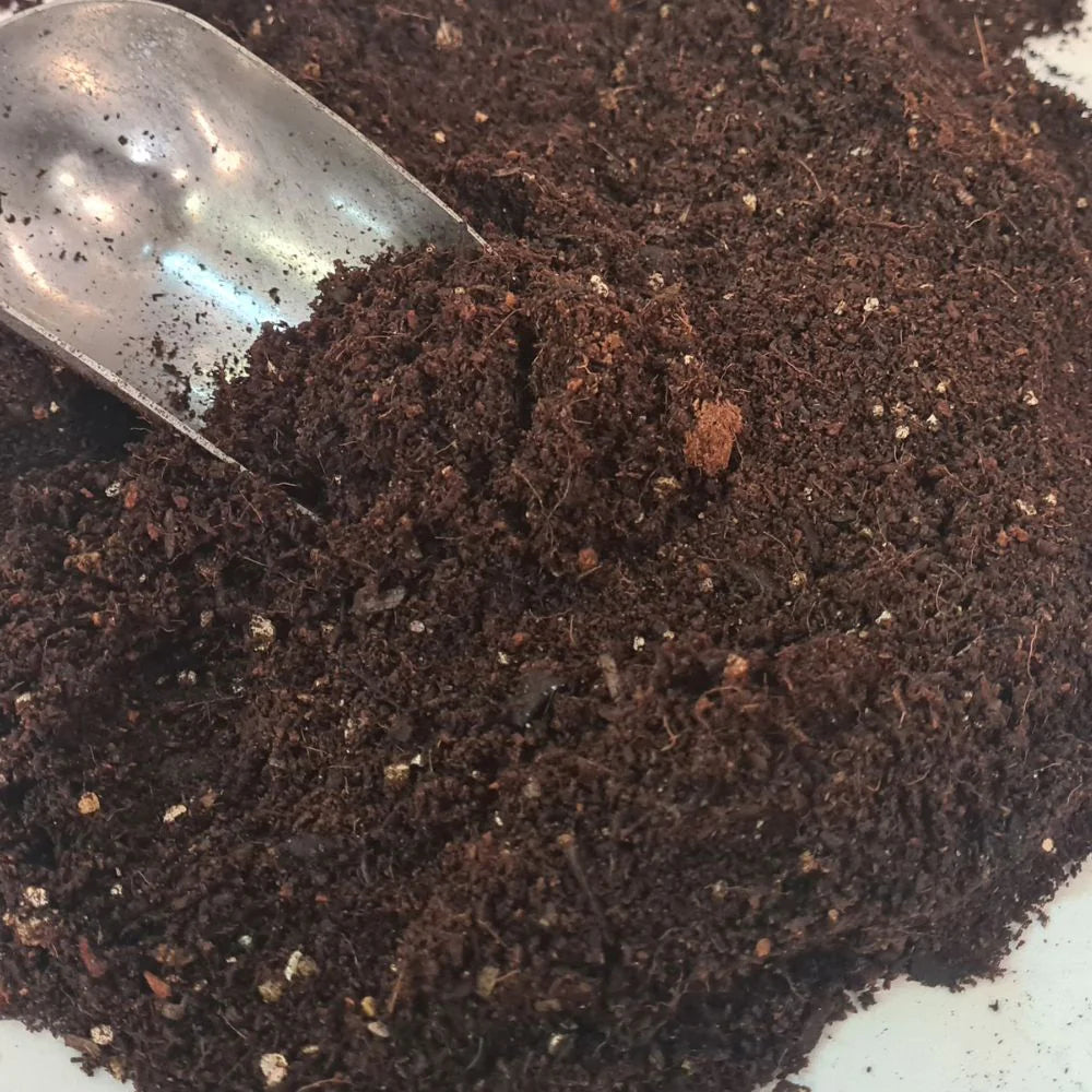 Terrarium soil mixed 500gramN modernrium