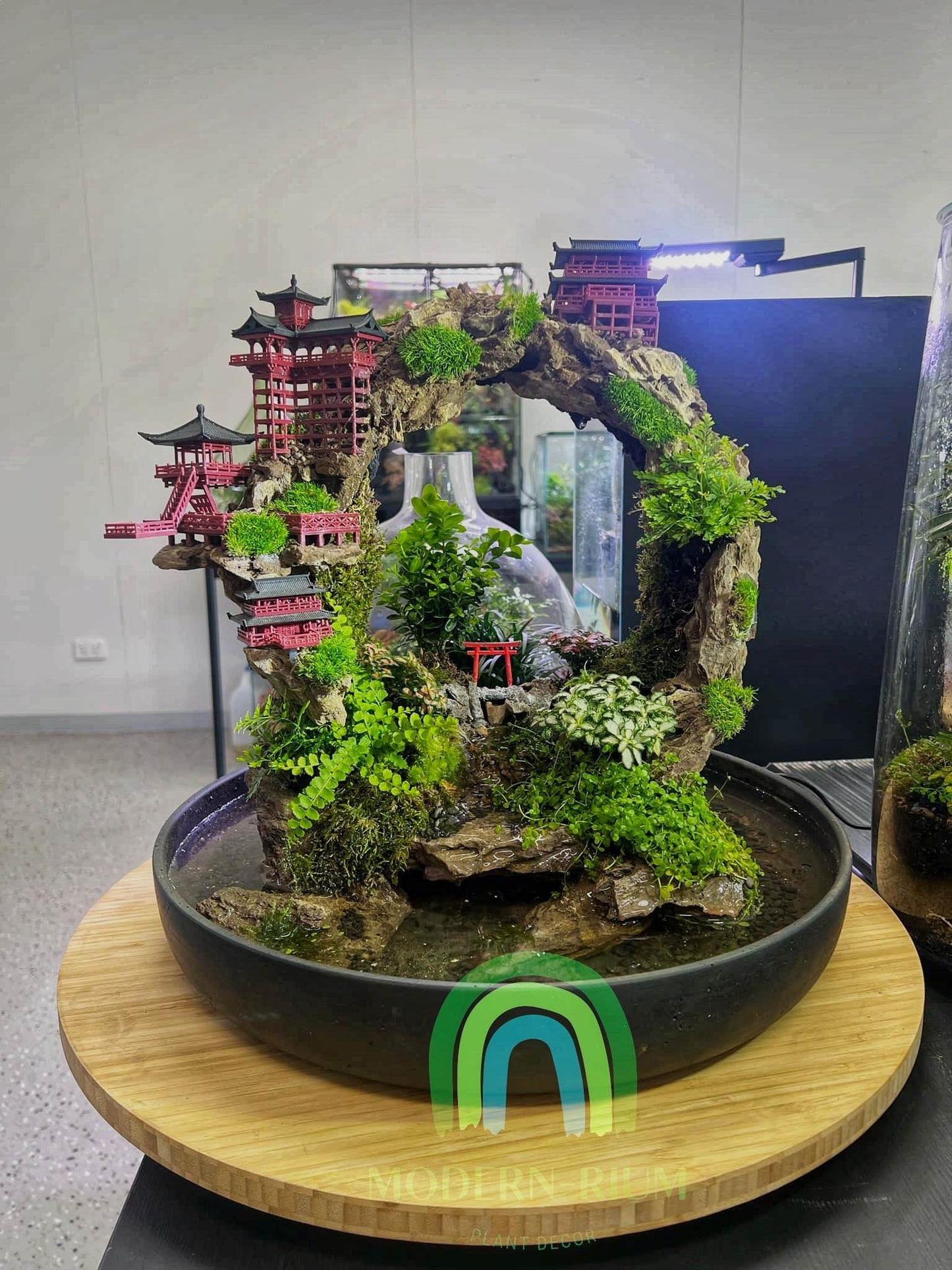 Temple Gate – Japanese Arch Terrarium with Mountain Loop & Water Base