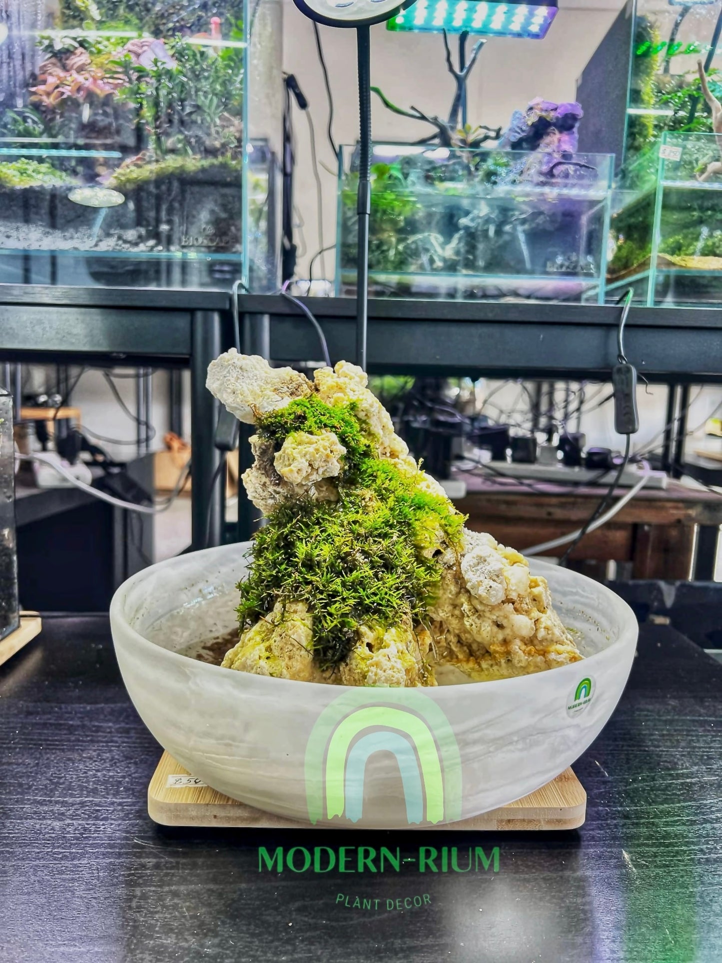Mistspire – Alpine Mossscape in Marble Glass Bowl