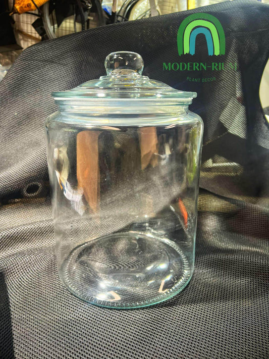 DIY Terrarium Kit Loli Jar Size 20*29