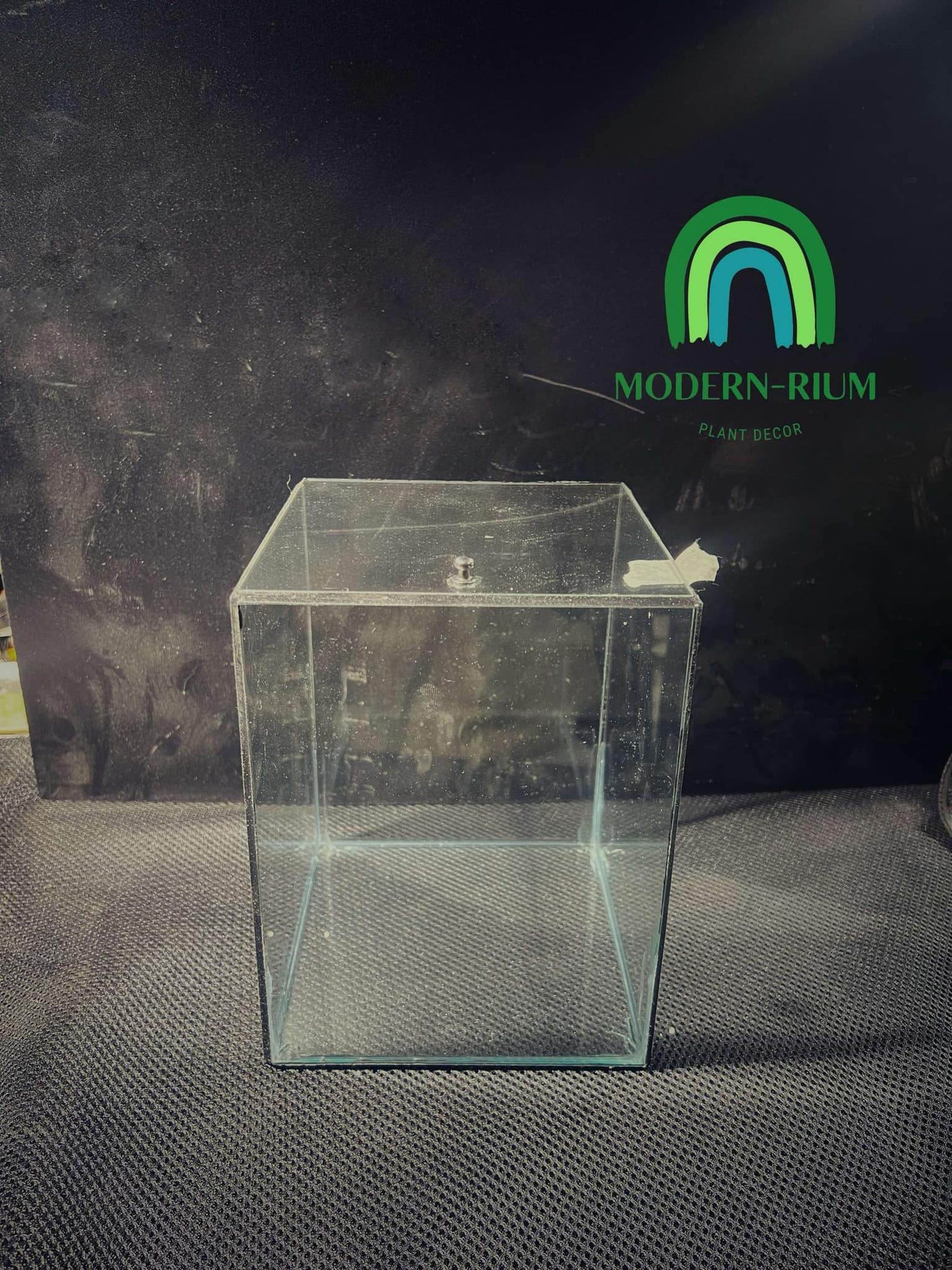 DIY Terrarium Kit 15x15x20 Tropical box