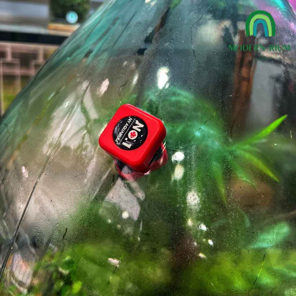 DIY Terrarium Kit 35cm Fishbowl Terrarium DIY Kit with Lid