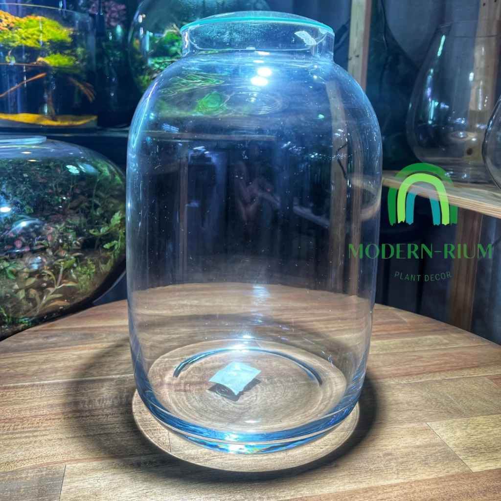 DIY Terrarium Kit 34x20cm Glass Jar Terrarium DIY Kit with Lid