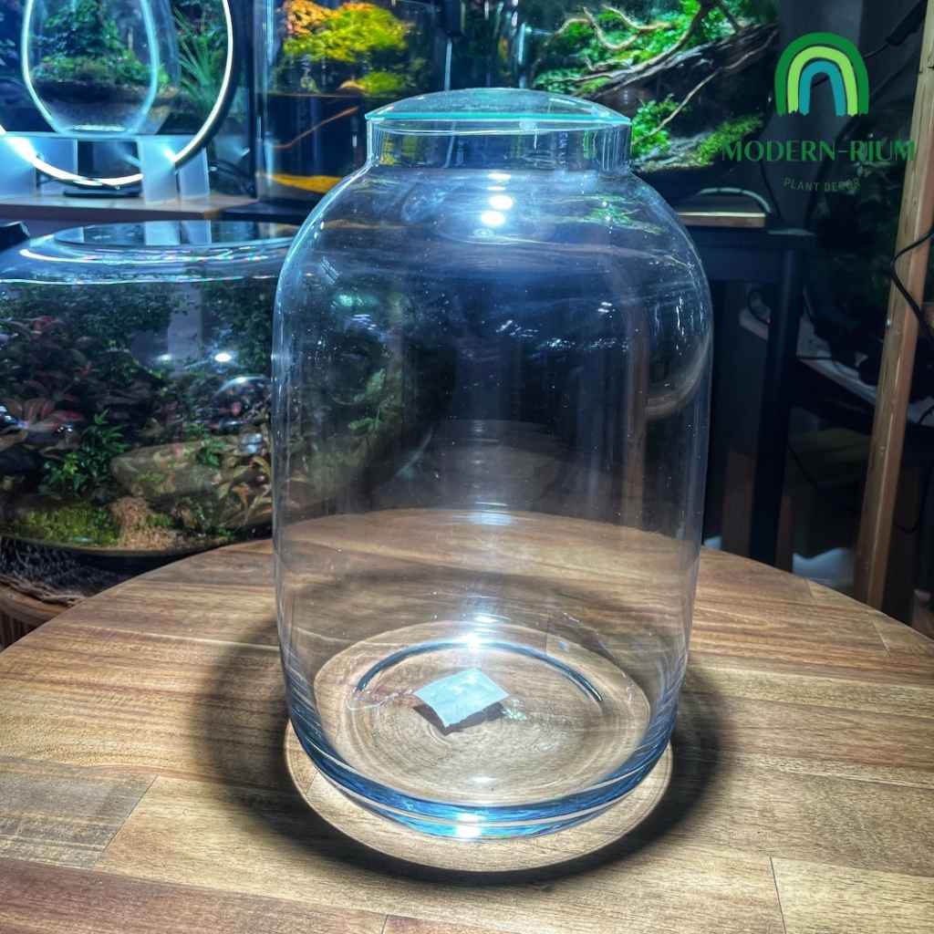 DIY Terrarium Kit 34x20cm Glass Jar Terrarium DIY Kit with Lid