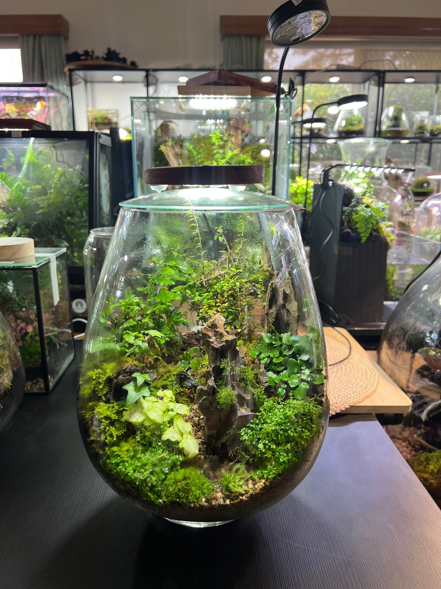 Large sized Mountain Landscape 30cmx25cm