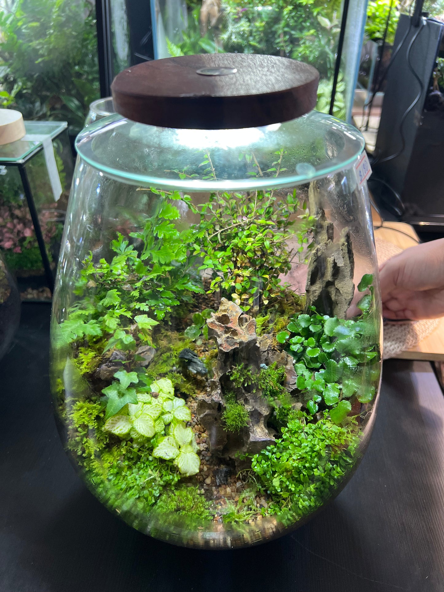 Large sized Mountain Landscape 30cmx25cm