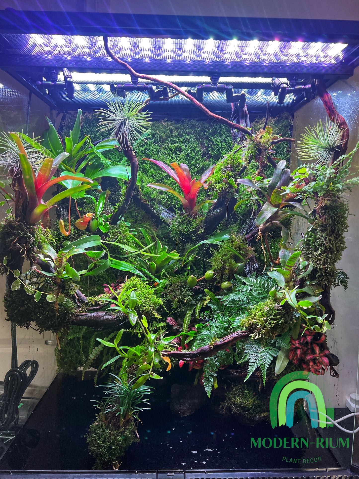 Vivarium Terrarium PaludariumVivarium Terrarium Paludarium