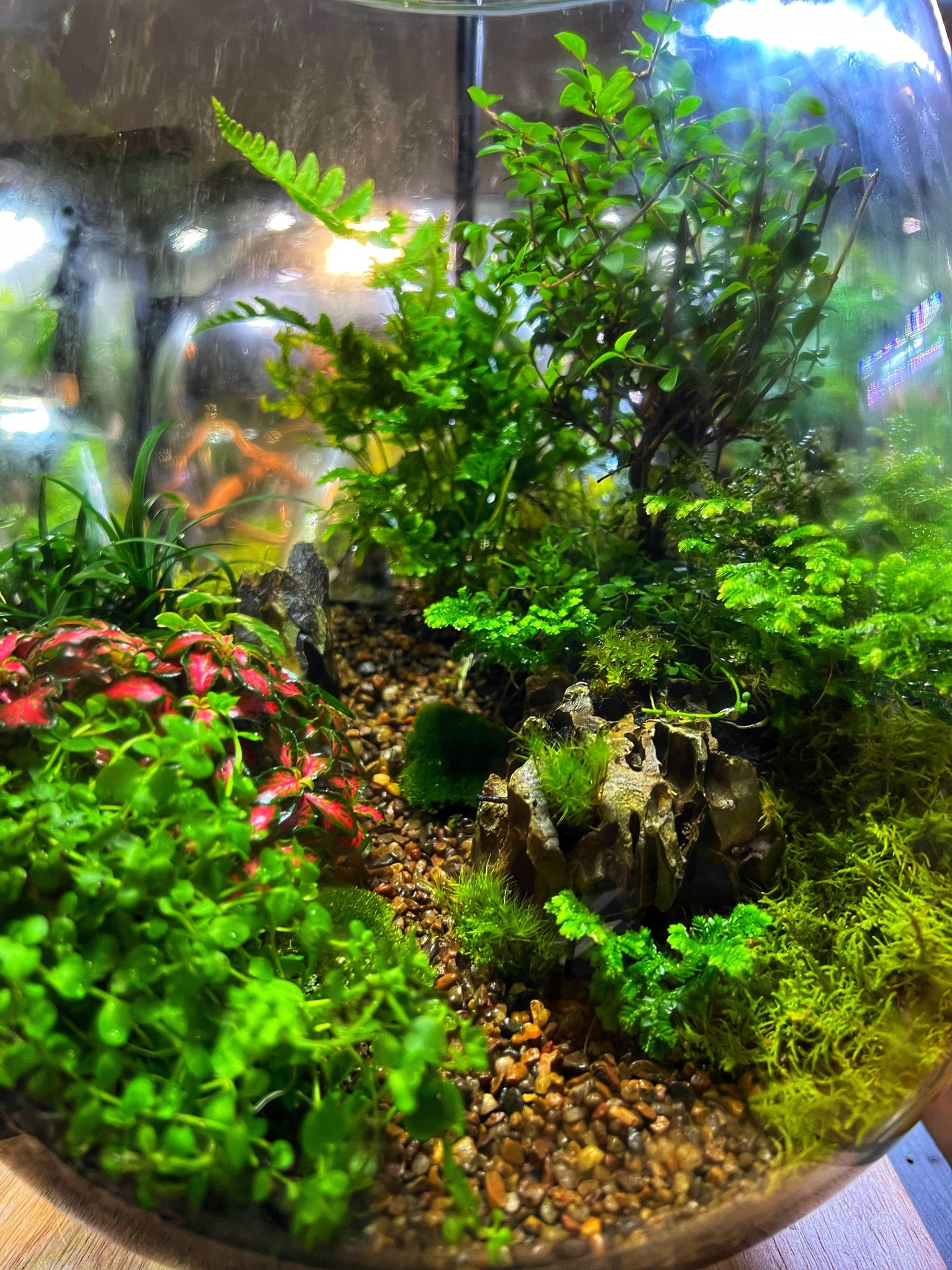 Large sized Mountain Landscape 30cmx25cm