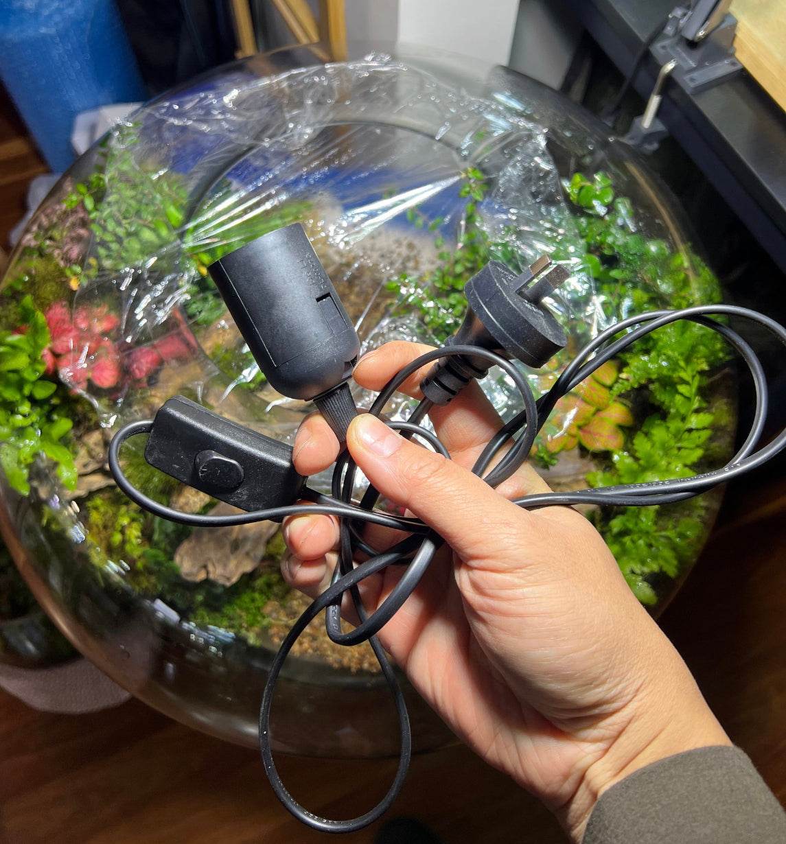 Grow light bulb - Natural 30W light 48 degree coverage. E27