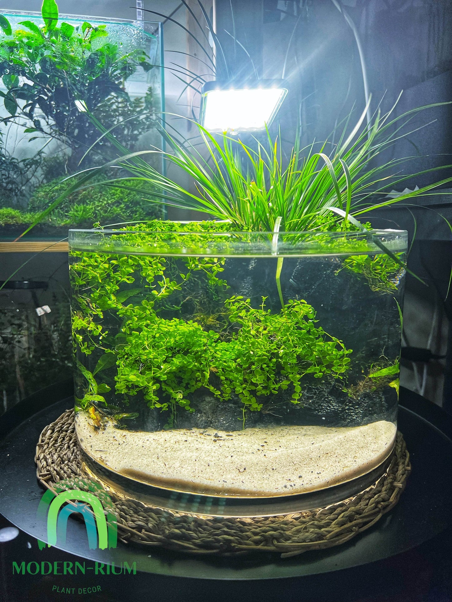 Aquarium 30cm wide bowl river bank style