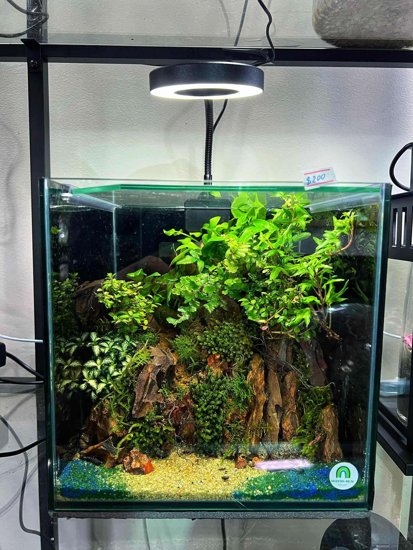 Cube Rock Cliff tank (22cm)