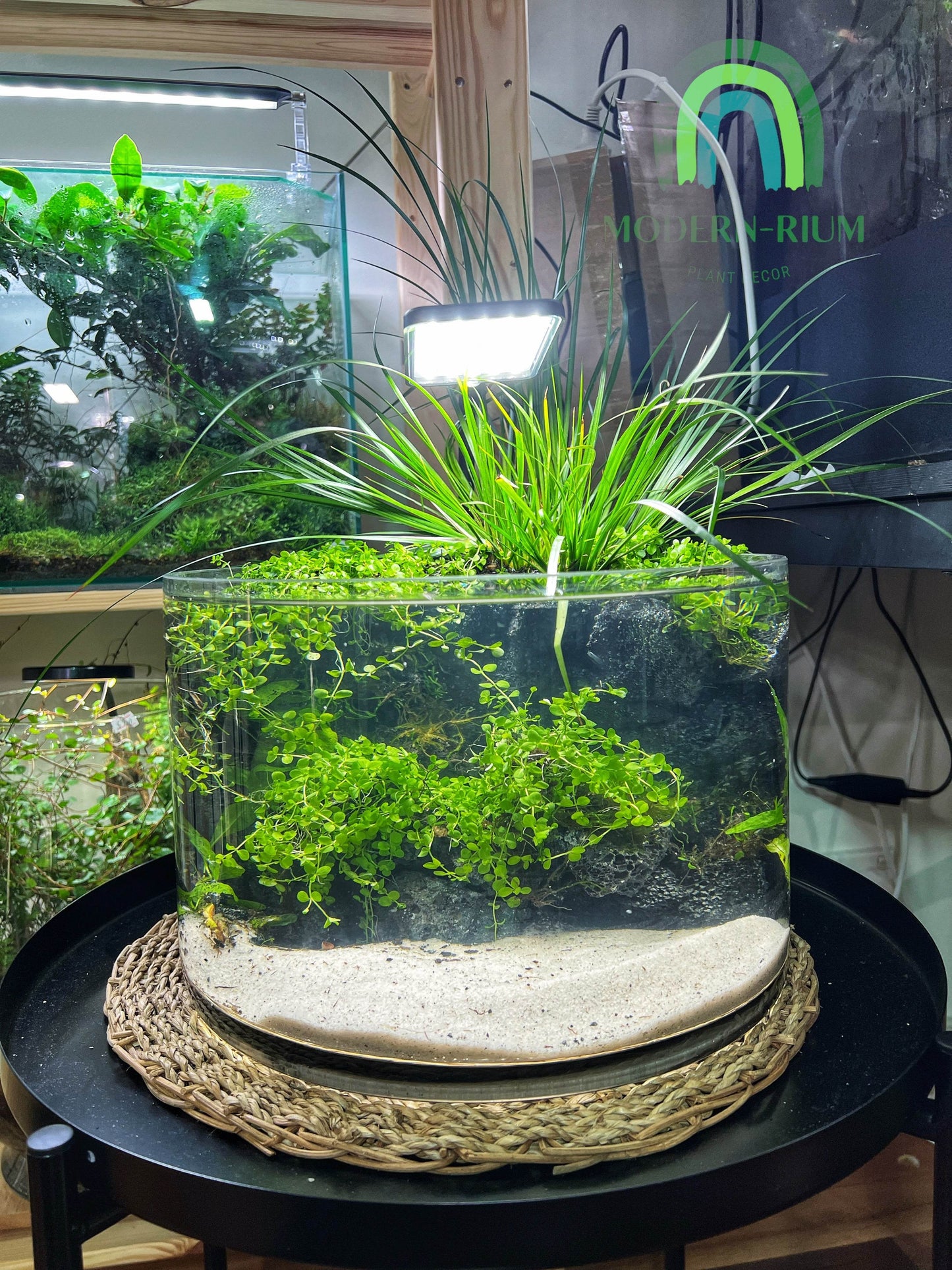 Aquarium 30cm wide bowl river bank style
